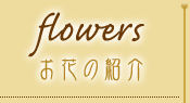 flowers - お花の紹介