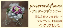 preserved flower-プリザーブドフラワー：美しさをいつまでも･･･プレゼント、お部屋のインテリアとして。